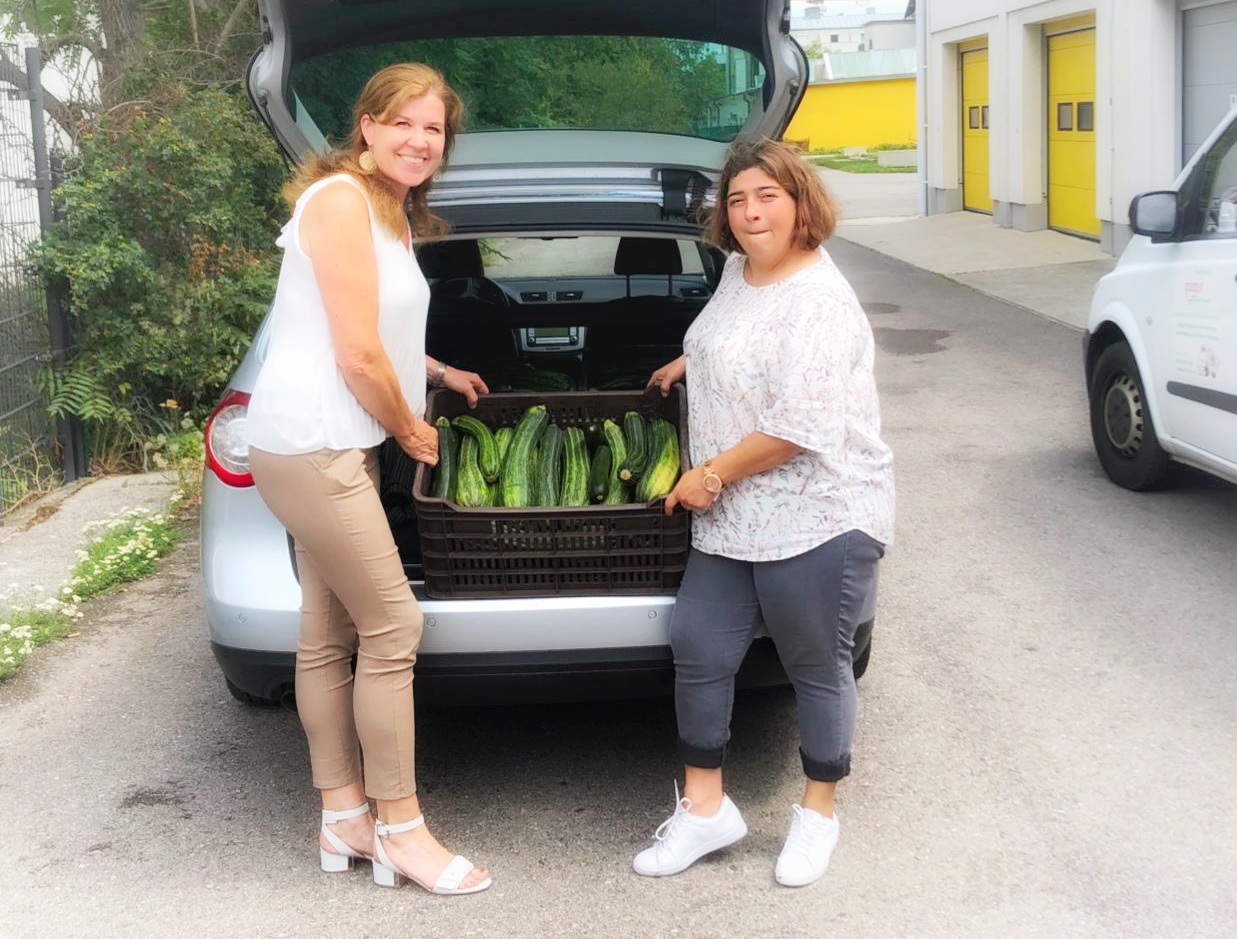 Bio Zucchini der Familie Kirstorfers werden in den soogut-Sozialmarkt Mödling gebracht