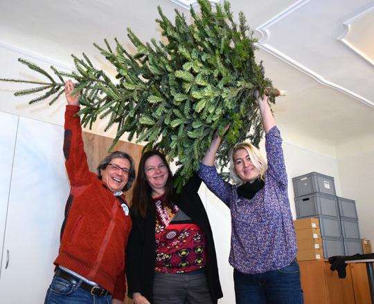 Fünf weitere Christbäume für den SOMA St. Pölten - gespendet von StR Peter Krammer