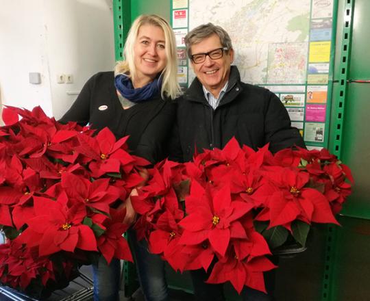 Peter Krammer und Anneliese Dörr mit den Weihnachtssternen