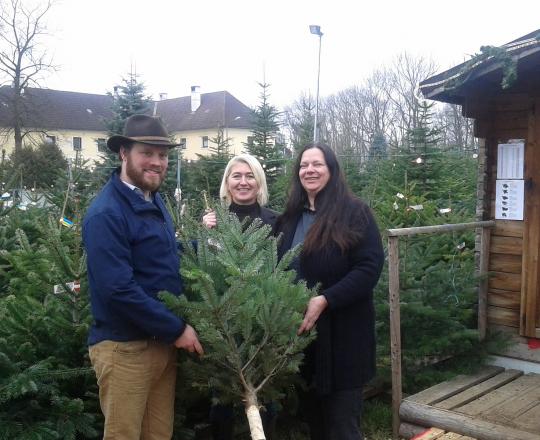 Forstverwaltung Fridau (Tacoli) spendet Christbäume